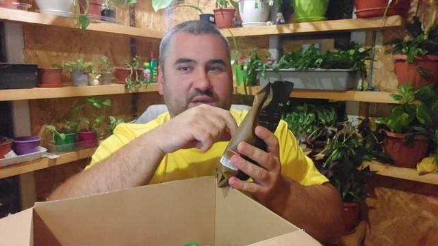 Посылка от Елены с заморскими вкусняшками смотреть онлайн