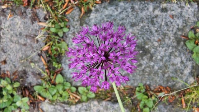 Canon eos 1100D Fotos #1 смотреть онлайн