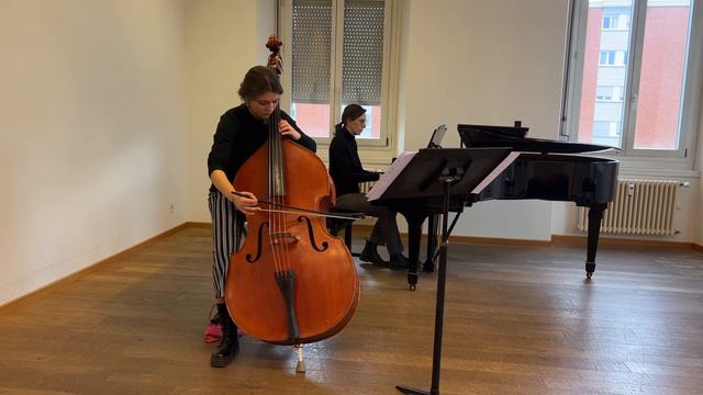 Dittersdorf concerto in D major for Double bass I. Allegro moderato смотреть онлайн