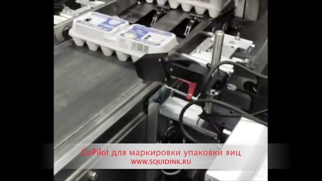 Маркировка упаковки яиц