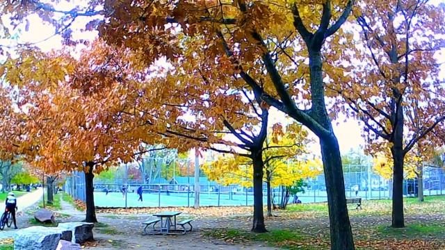 Критики трактата Мальтуса "Опыт о Народонаселении" смотреть онлайн