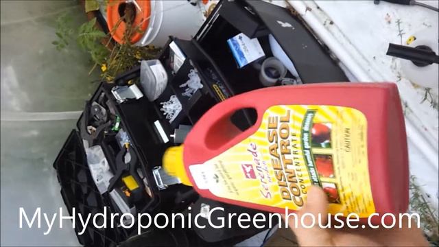 Treating Fungus on Our Cucumber and Melon Plants (Hydroponic & Aquaponic) смотреть онлайн