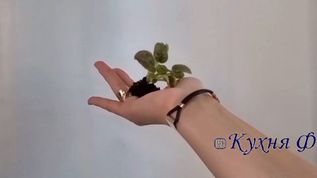 РОЖДЕСТВЕНСКИЙ ПОДАРОК ДЛЯ ТЕХ, КТО НЕ ЛЮБИТ ЧИТАТЬ ИНСТРУКЦИИ смотреть онлайн