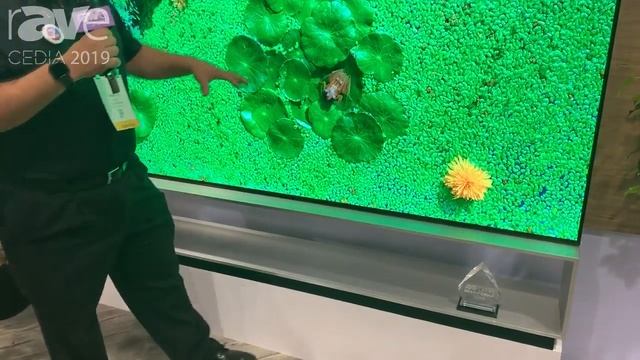 CEDIA 2019: LG Debuts the 88" OLED88Z9PUA Signature 8K OLED TV смотреть онлайн
