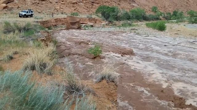 Flash Flood near Glen Canyon / Lake Powell смотреть онлайн