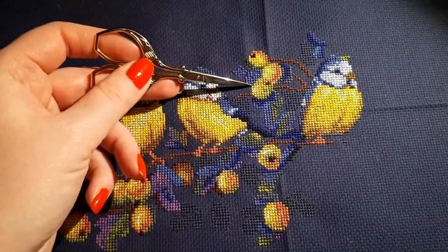 1. ОТЧЕТ ВЫШИВКИ "СИНИЦЫ" ОТ МЕРЕЖКИ смотреть онлайн