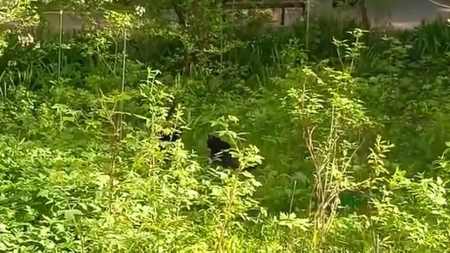 Чудесный вид из окна смотреть онлайн