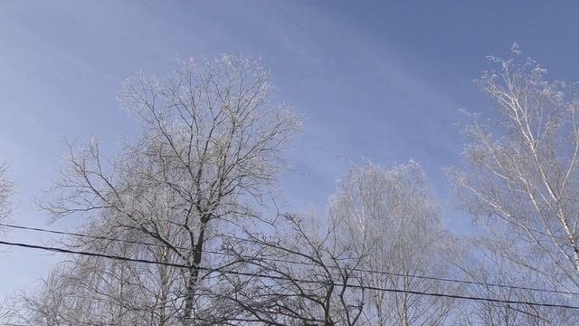 Снегири и блестящий иней! смотреть онлайн