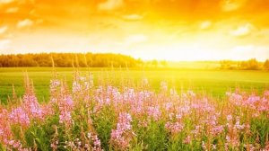 Потрясающе красивая музыка для души Сергей Грищук! Хочется слушать и слушать снова…красивая видео