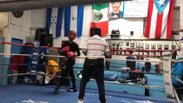 Best Boxing Sparring Training смотреть онлайн