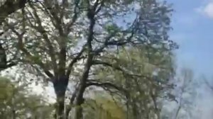 Краш тест микрофона