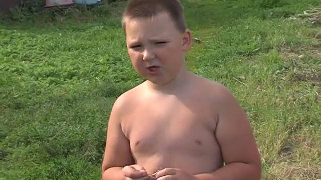 Больные бешенством енотовидные собаки атаковали Первомайский район смотреть онлайн