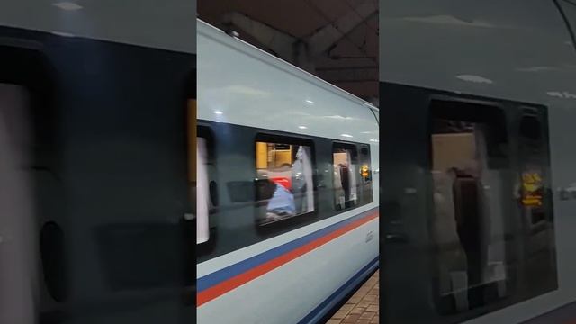 ЭВС1 Сапсан отправление с Ленинградского вокзала. смотреть онлайн