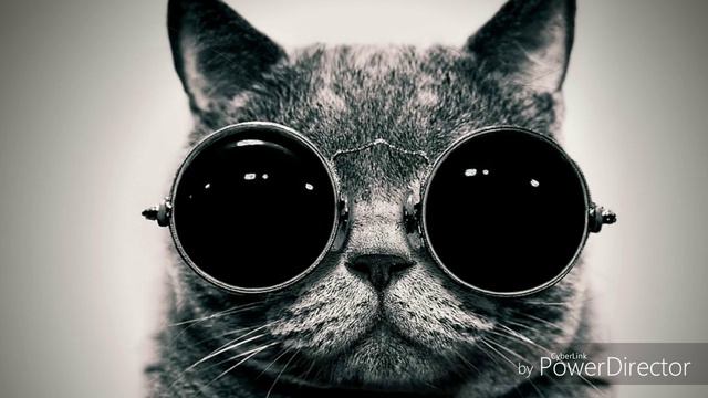 Упоротая музыка 3 лайка новое видео