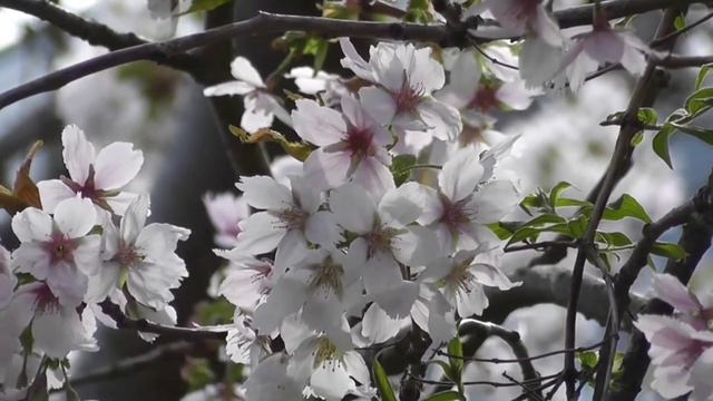 Получи доступ к Вселенскому❗ Разуму ❗Задай ему свои Вопросы #вселенная #высшийразум смотреть онлайн