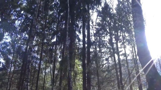 A Light Exists In Spring... Есть свет весной...Весна в Кисловодске. Утро в парке.