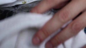 Как поставить голубю подкожный укол ✿ Give a subcutaneous injection to a pigeon