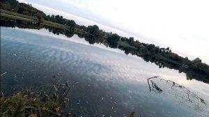 Ловля окуня на МИКРОДЖИГ в ПОДМОСКОВЬЕ.