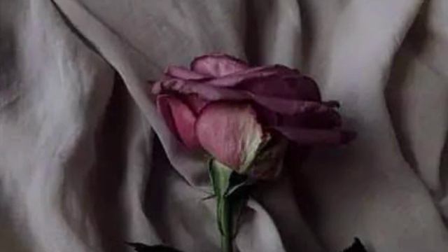 The Sick Rose// William Blake// Sujata Ghosh смотреть онлайн