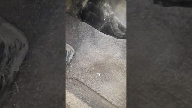 Чистка радика смотреть онлайн