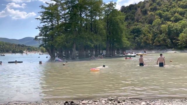 Анапа. Озеро Сукко, болотные кипарисы. 29 июля 2022 г. смотреть онлайн