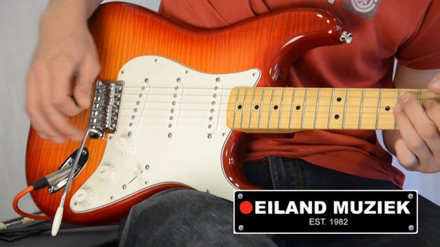 Fender Standard Strat Plus Top MN ACB смотреть онлайн