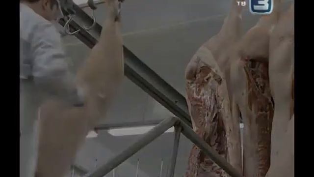 Настоящая краковская колбаса смотреть онлайн