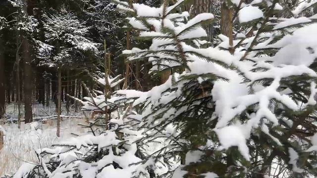 ОНЛАЙН ПУТЕШЕСТВИЕ В ЗИМНЮЮ СКАЗКУ ? смотреть онлайн