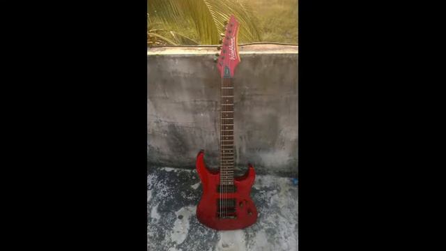 washburn wg 587 смотреть онлайн