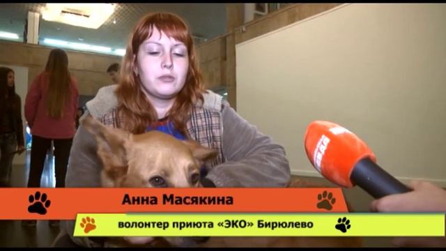 Возьми собаку из приюта