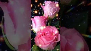 Не люби женатых