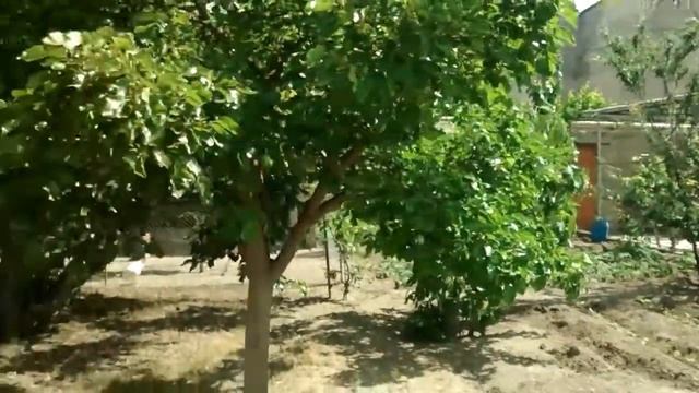Баку пос. Говсаны 2017 .04. смотреть онлайн