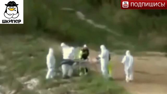 РУСАЛКИ СУЩЕСТВУЮТ,ТОП 5 РЕАЛЬНЫХ ВИДЕО С РУСАЛКАМИ!!!!! смотреть онлайн