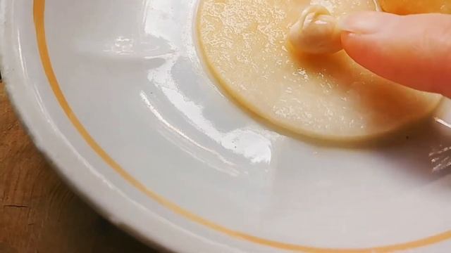 Как прорастить и как вырастить фасоль в домашних условиях смотреть онлайн