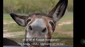 Стих про осла