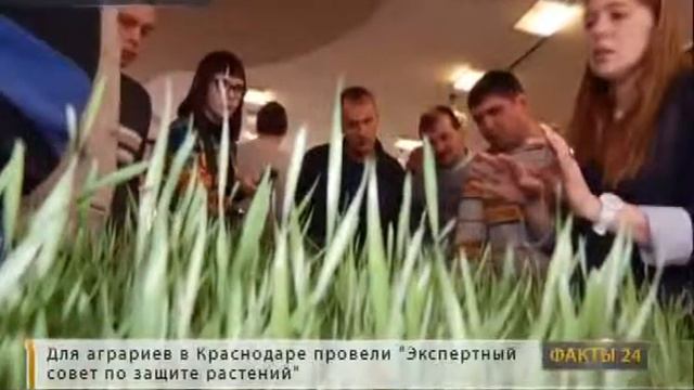 Компания «Сингента» организовала в Краснодаре «Экспертный совет по защите растений» смотреть онлайн