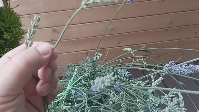 Архитектурные Вдохновения