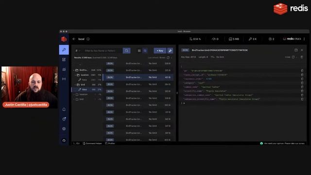 Do Birds Dream in JSON? смотреть онлайн