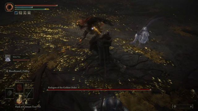 Meeting Radagon | Elden Ring Playthrough смотреть онлайн