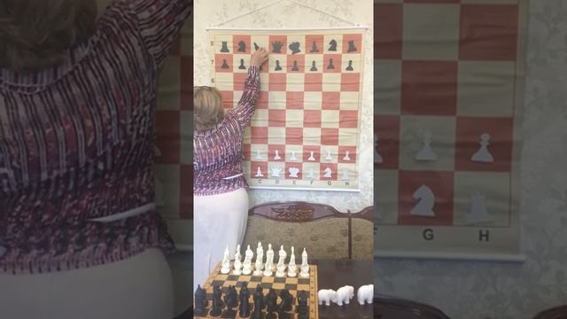 Как научиться играть в шахматы с нуля. Урок 4. смотреть онлайн