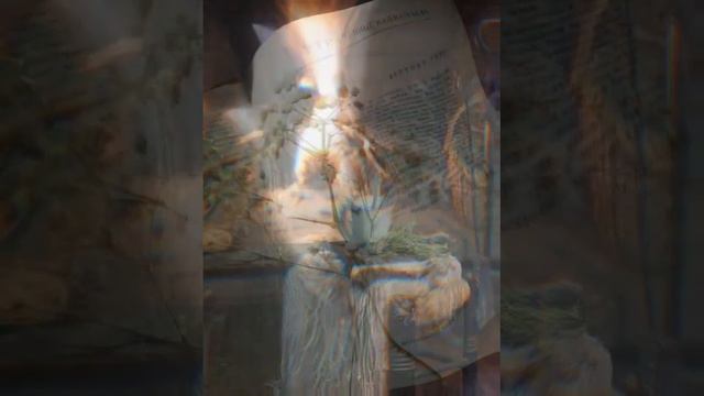 Дом. Автор и исполнитель - Елена Казакова @elenakazakova8139 смотреть онлайн