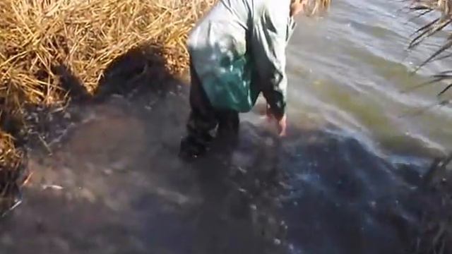 х Садки водоем Бегущий Носорог Зарыбление 10 11 2013 смотреть онлайн