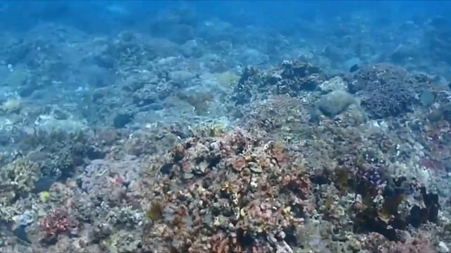 Секретный пляж Биас-Тугал на Бали (Secret Beach, Bias Tugal) - Белоснежные пляжи смотреть онлайн
