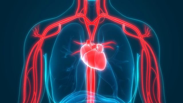 Вкусные Истории