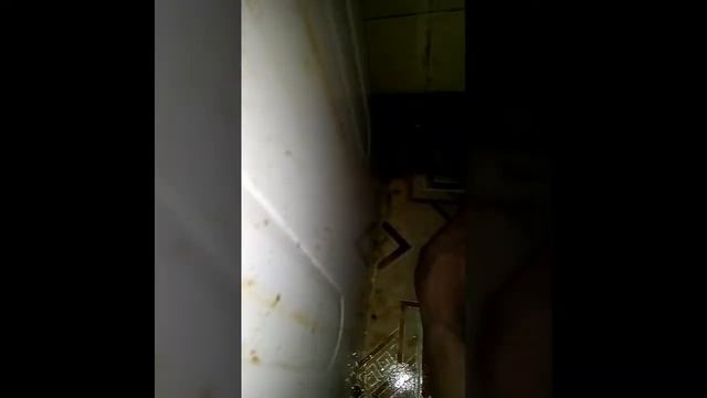 «Пром-Экси» - Универсальный щелочной концентрат. (видео №3) смотреть онлайн