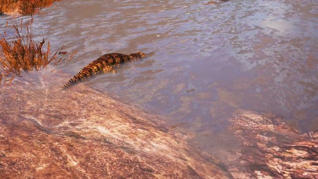 Virtual Reality Safari Ride | Immersive learning VR experience смотреть онлайн