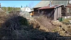 спил и измельчение веток,  мелких деревьев
