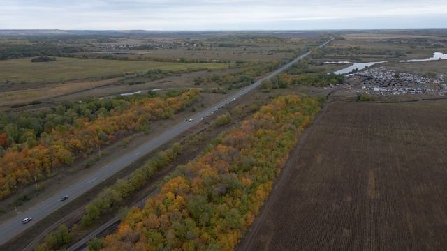 Палаточный лагерь в поле под Кинелем : отправка мигрантов на родину смотреть онлайн
