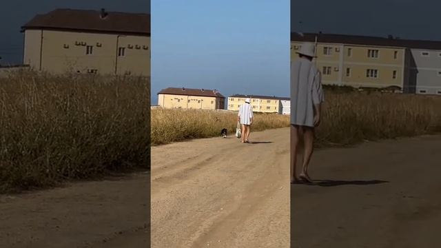 В крымской степи растут огромные локаторы смотреть онлайн