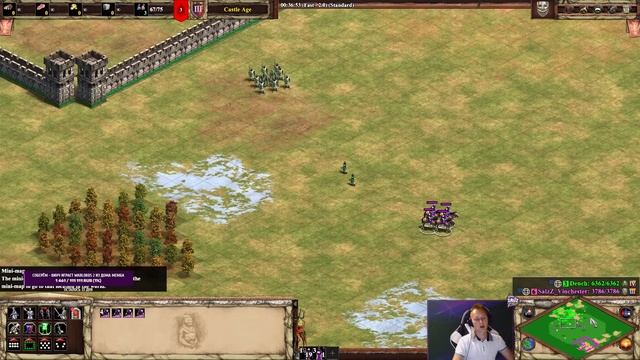 ГАЙД ДЛЯ НОВИЧКОВ | Фишки управления армией от Винча в Age of Empires 2 смотреть онлайн
